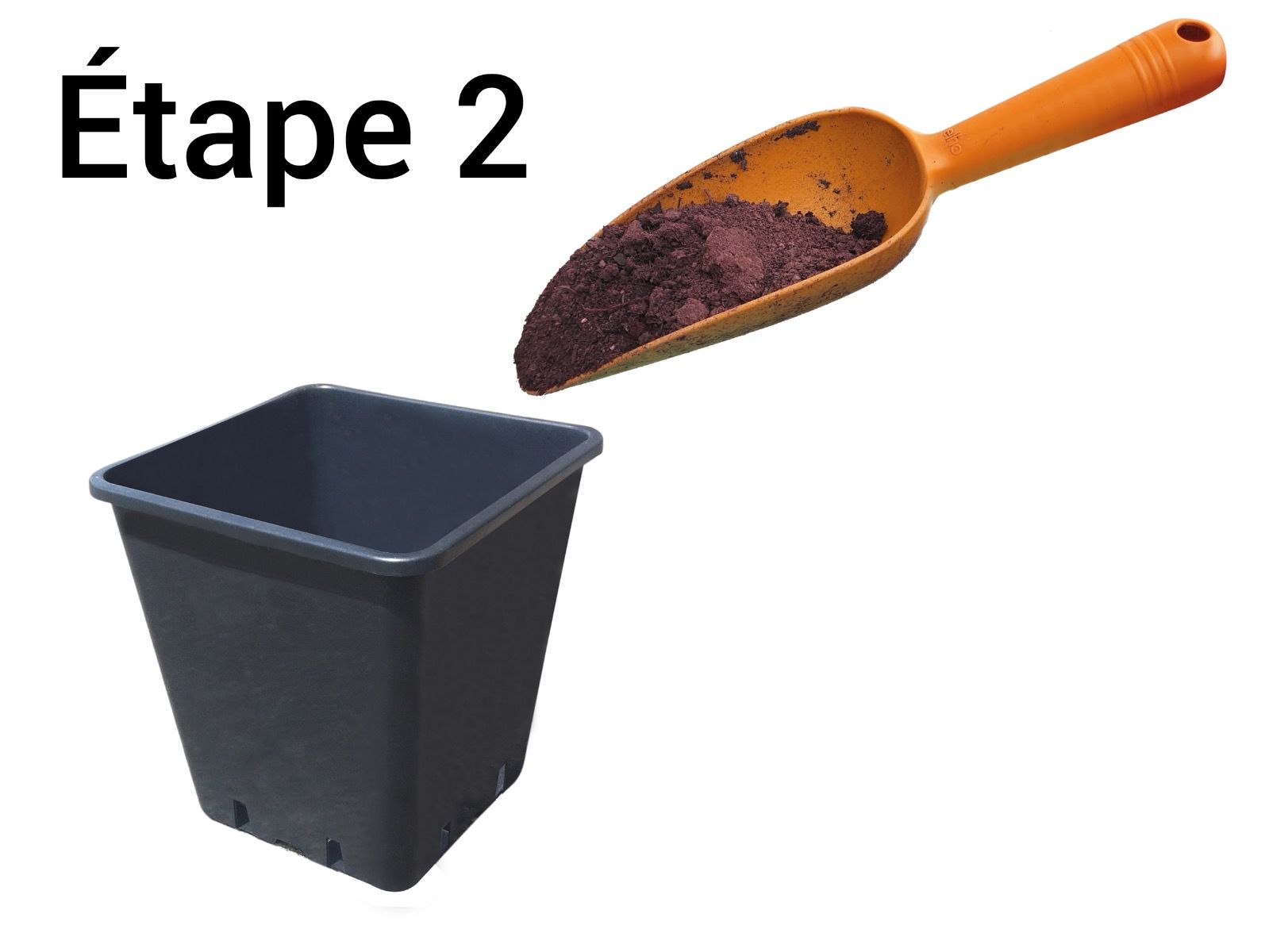 étape 2