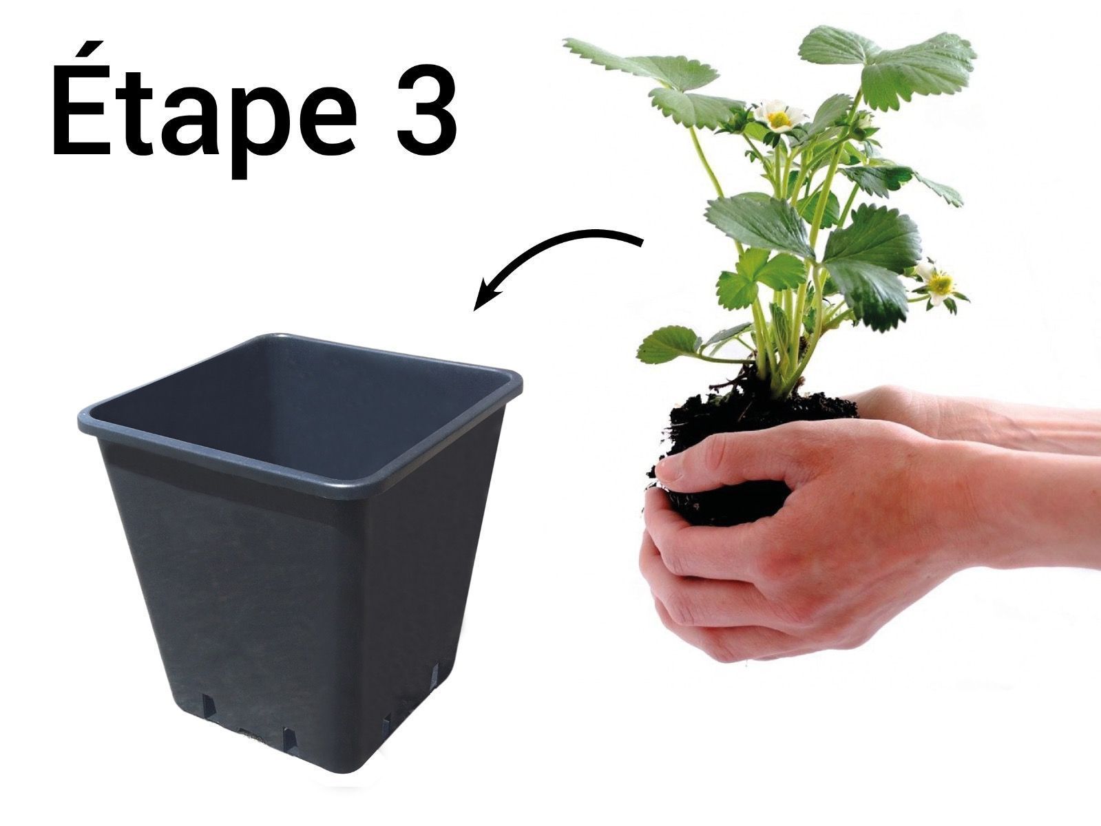 étape 3