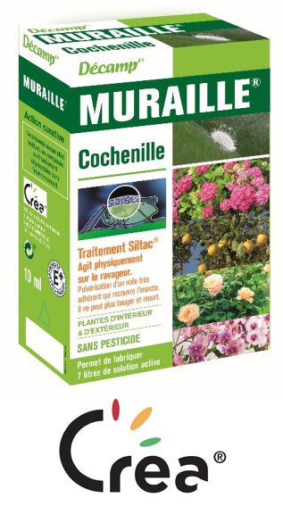 traitement anti cochenille créa