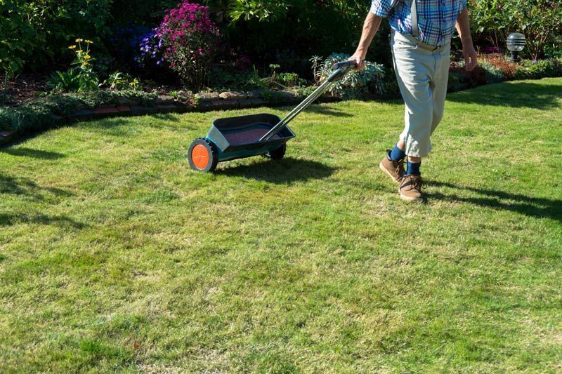 fertiliser