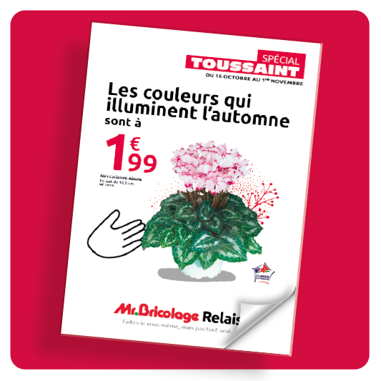 Catalogue Toussaint 2026 - St Cyprien