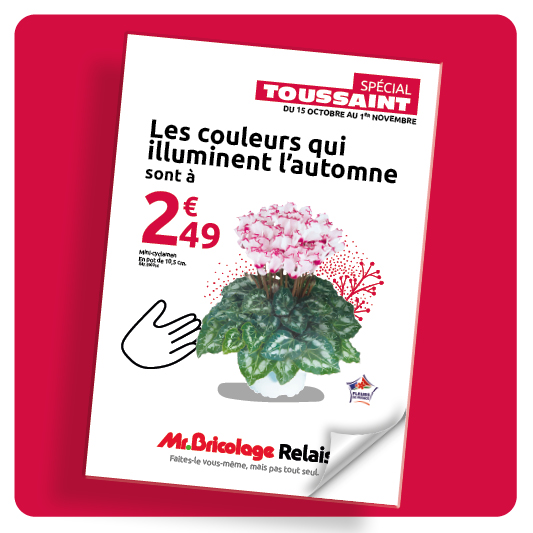 Catalogue Toussaint 2026 - Sales
