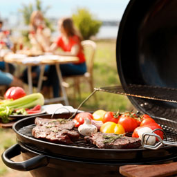Barbecues et planchas