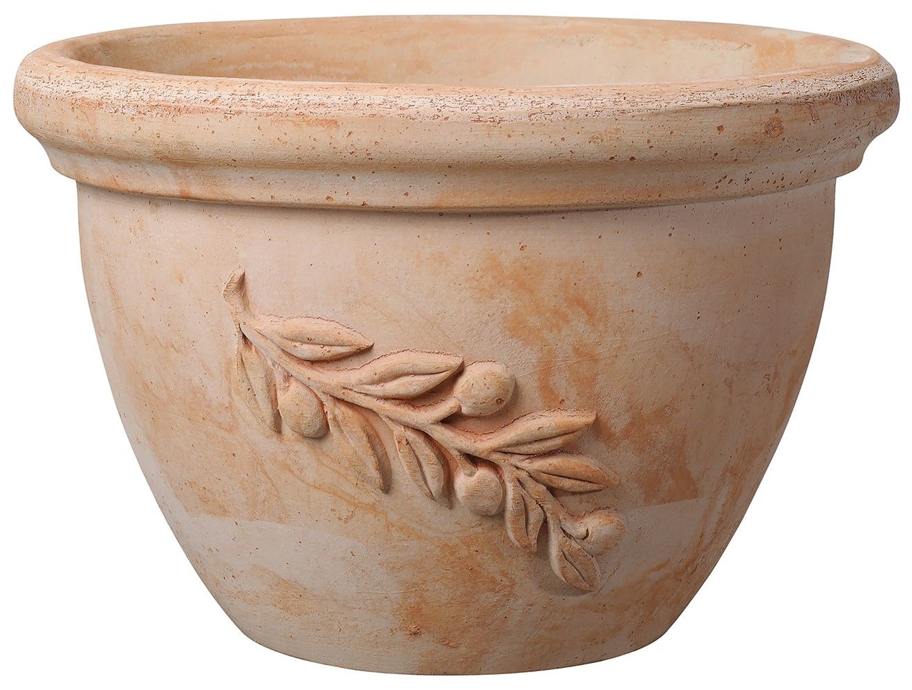 Coupe Olivade 30cm