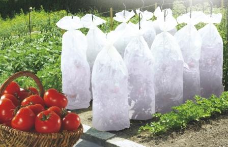 Gaine de croissance tomates pp 17g 0,60x10m - NORTENE