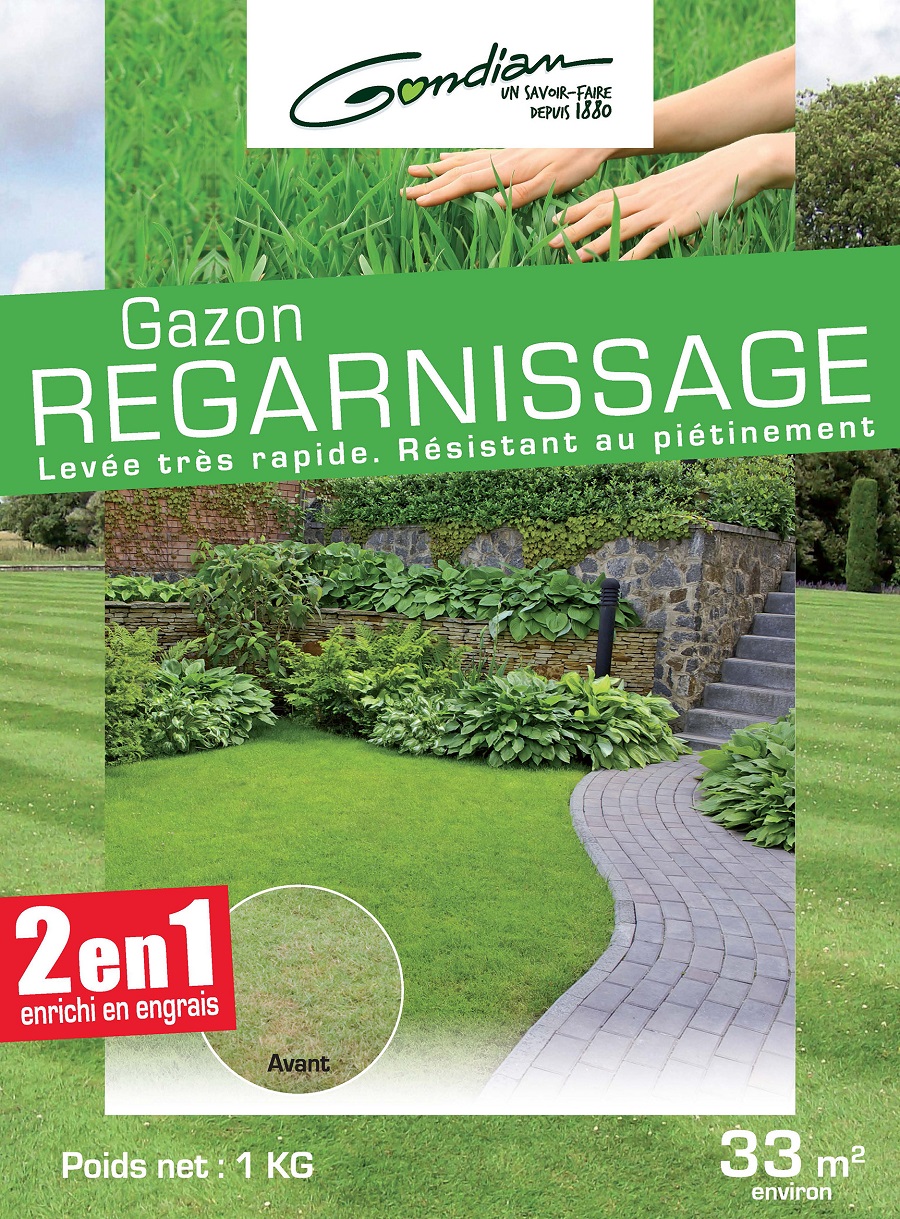 Gazon regarnissage 1 kg
