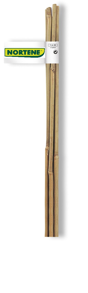 Tuteur bambou naturel lot 4 gencodé Ø 8/10mmx0,90m - INTERMAS