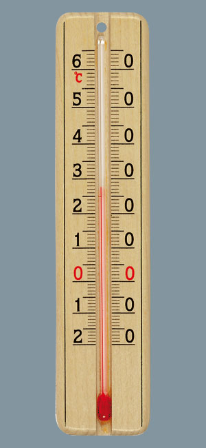 thermomètre bois clair 22 cm - STIL