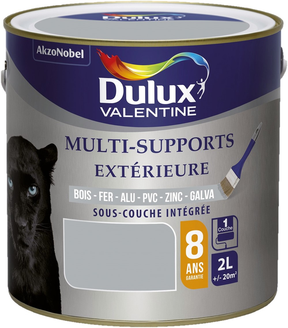 Peinture multisupport extérieure 2L Gris Franc