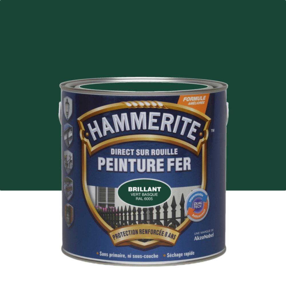 Peinture fer direct rouille brillant vert basque 2,5L - HAMMERITE