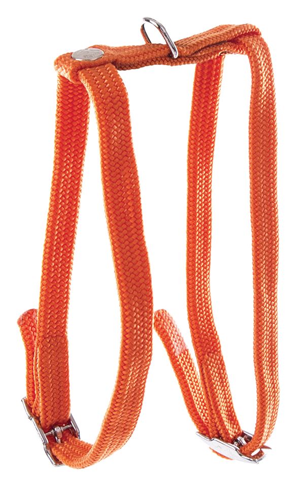 Harnais h nylon 10-35/40cm orange