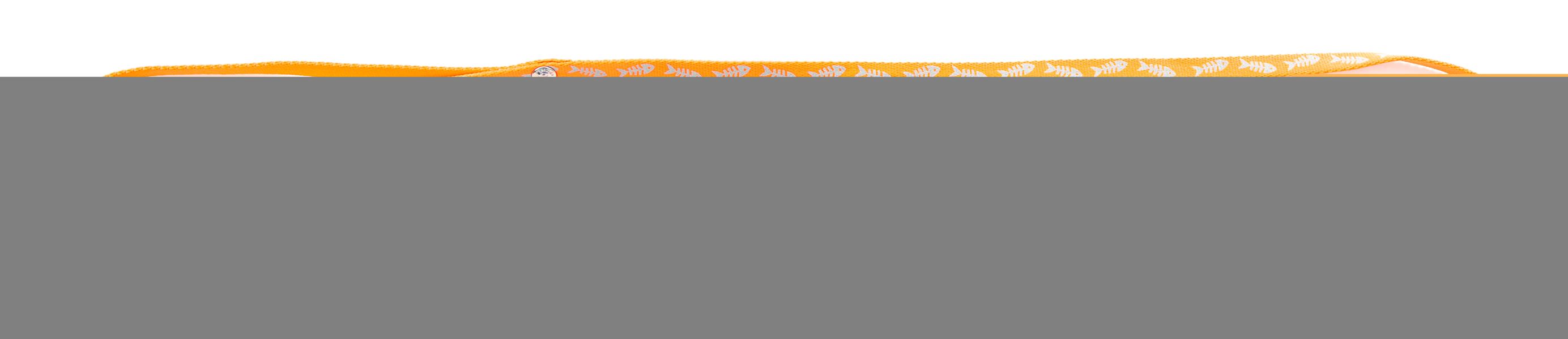 Laisse fluo fish 10/120 beige