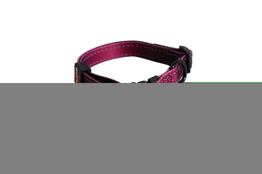 Collier nylon réglable 20/40-55 bordeau