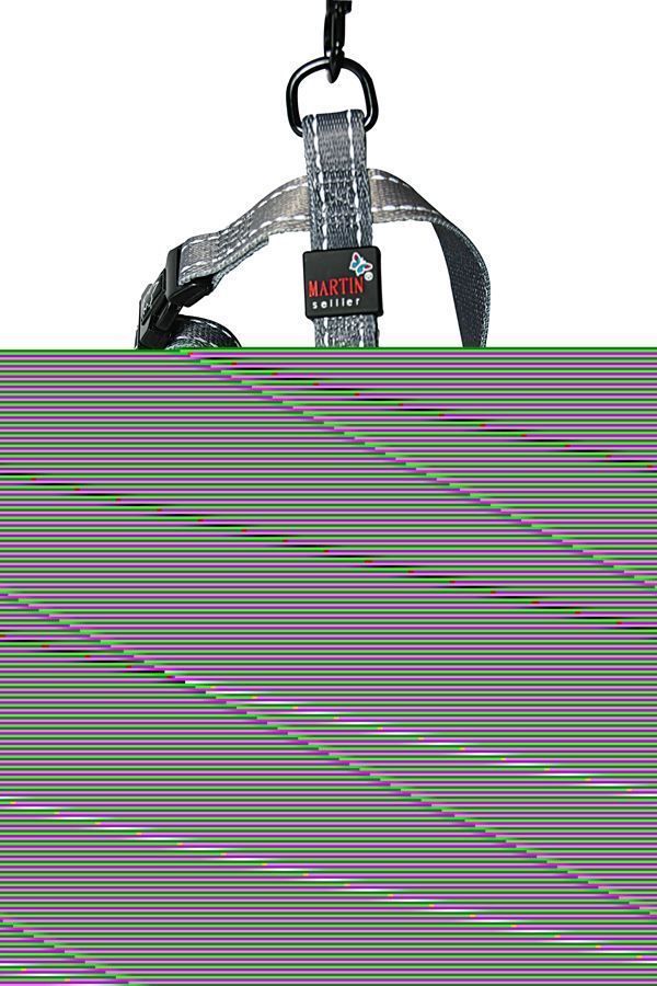 Harnais nylon réglable 16/35-50 gris