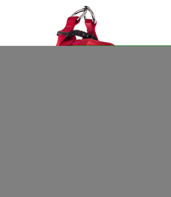 Harnais mesh 2xs rouge