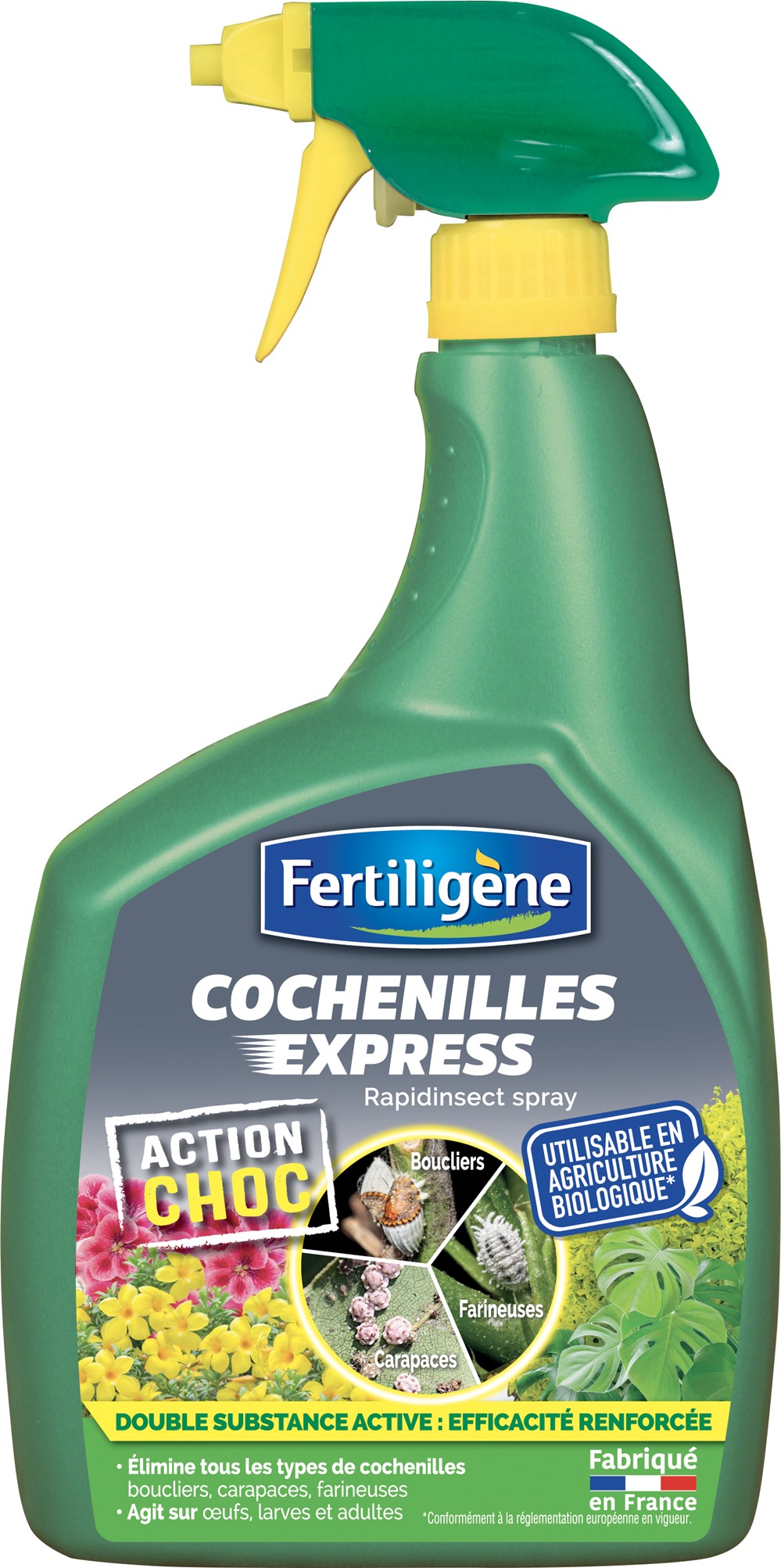 Cochenilles express - FERTILIGENE