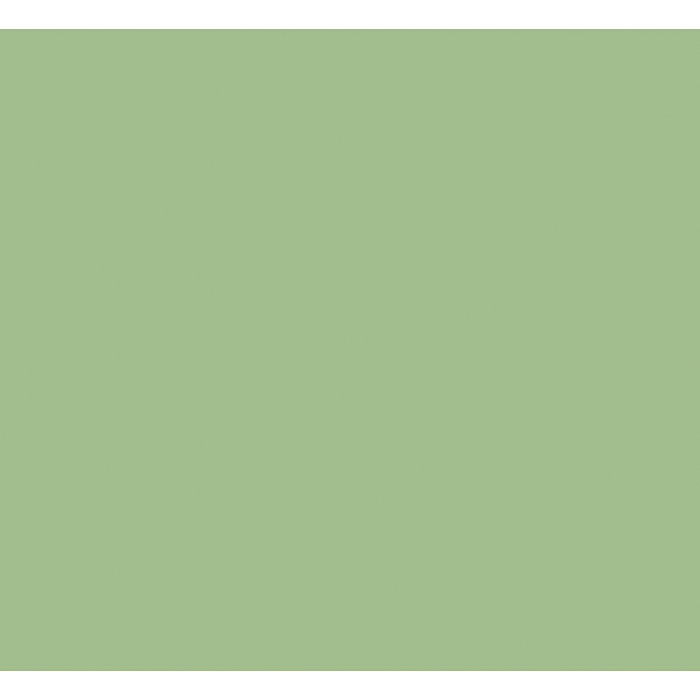 Peinture esprit-déco vert gaspesie satin 2,5L - RIPOLIN