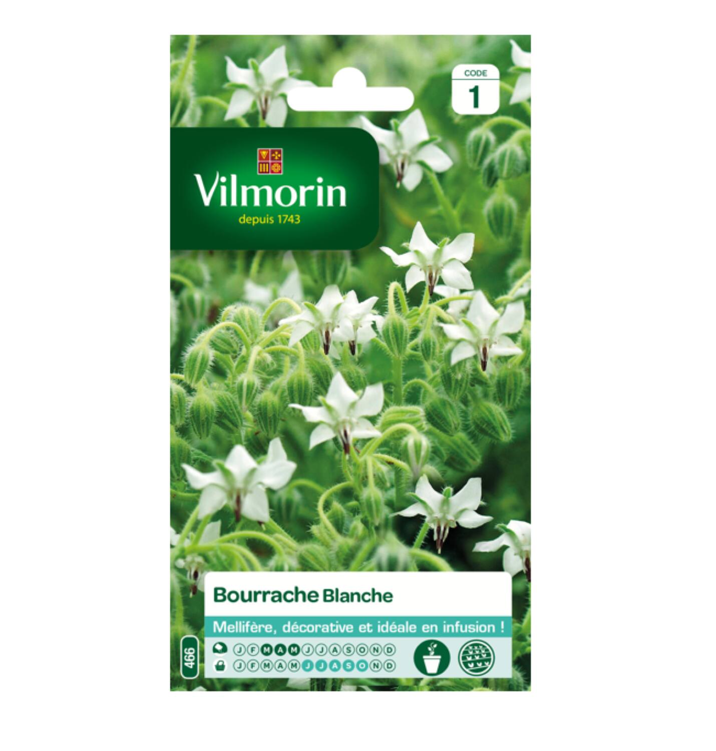 Graines bourrache blanche VL.1 - VILMORIN