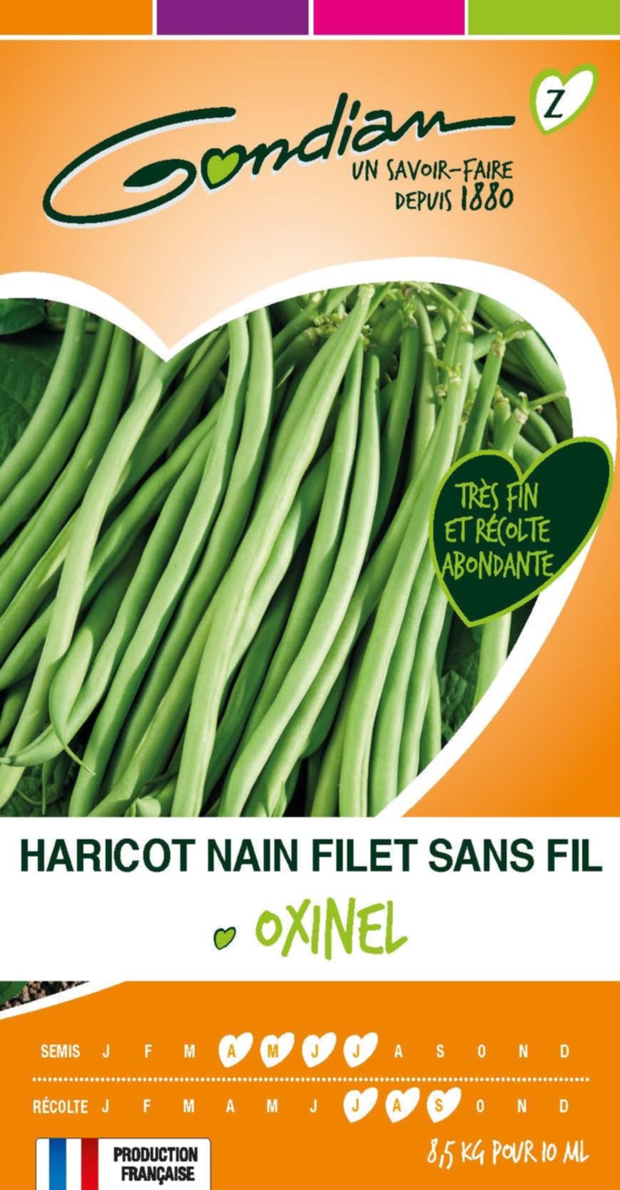 Haricot Oxinel - nain filet sans fil Gondian