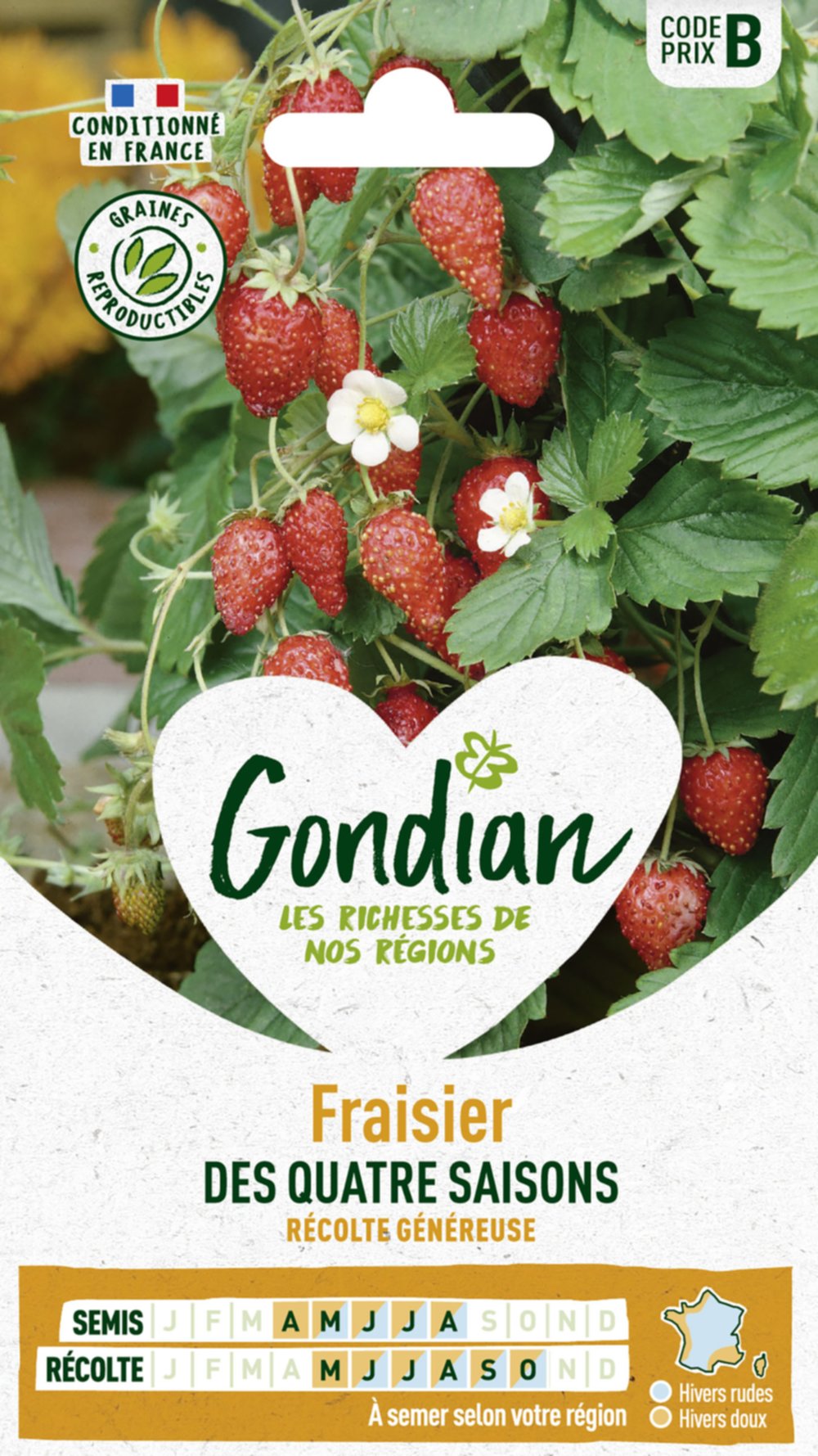 Fraisier des 4 Saisons - GONDIAN