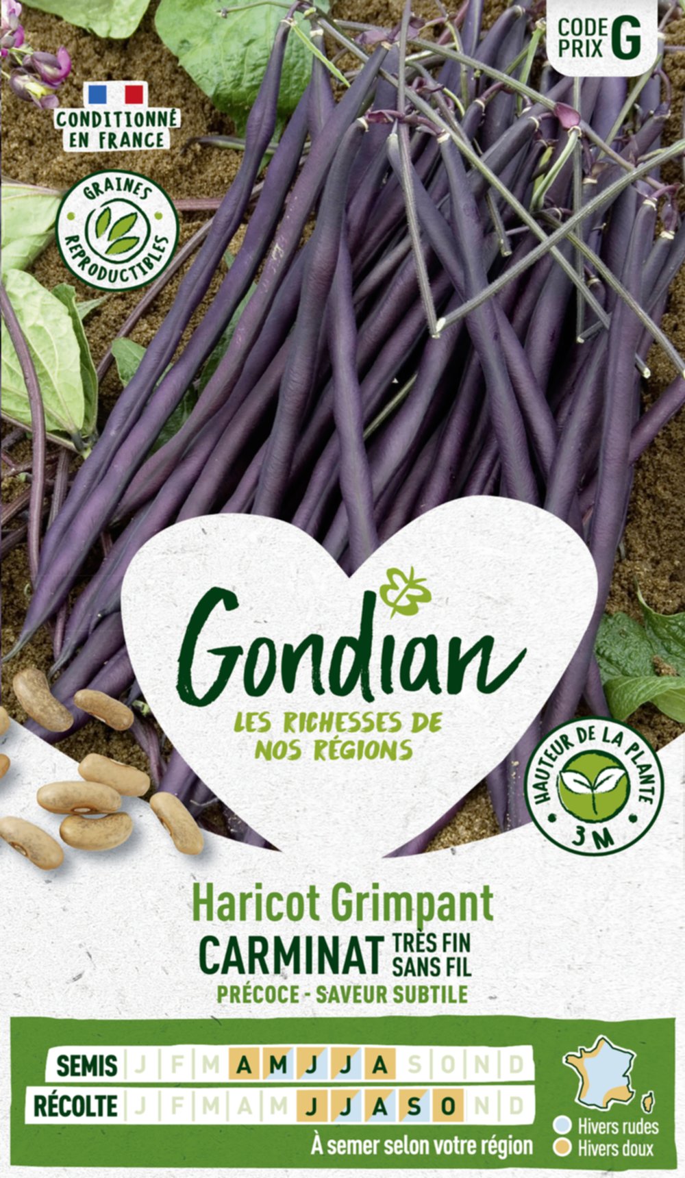 Haricot Carminat - GONDIAN