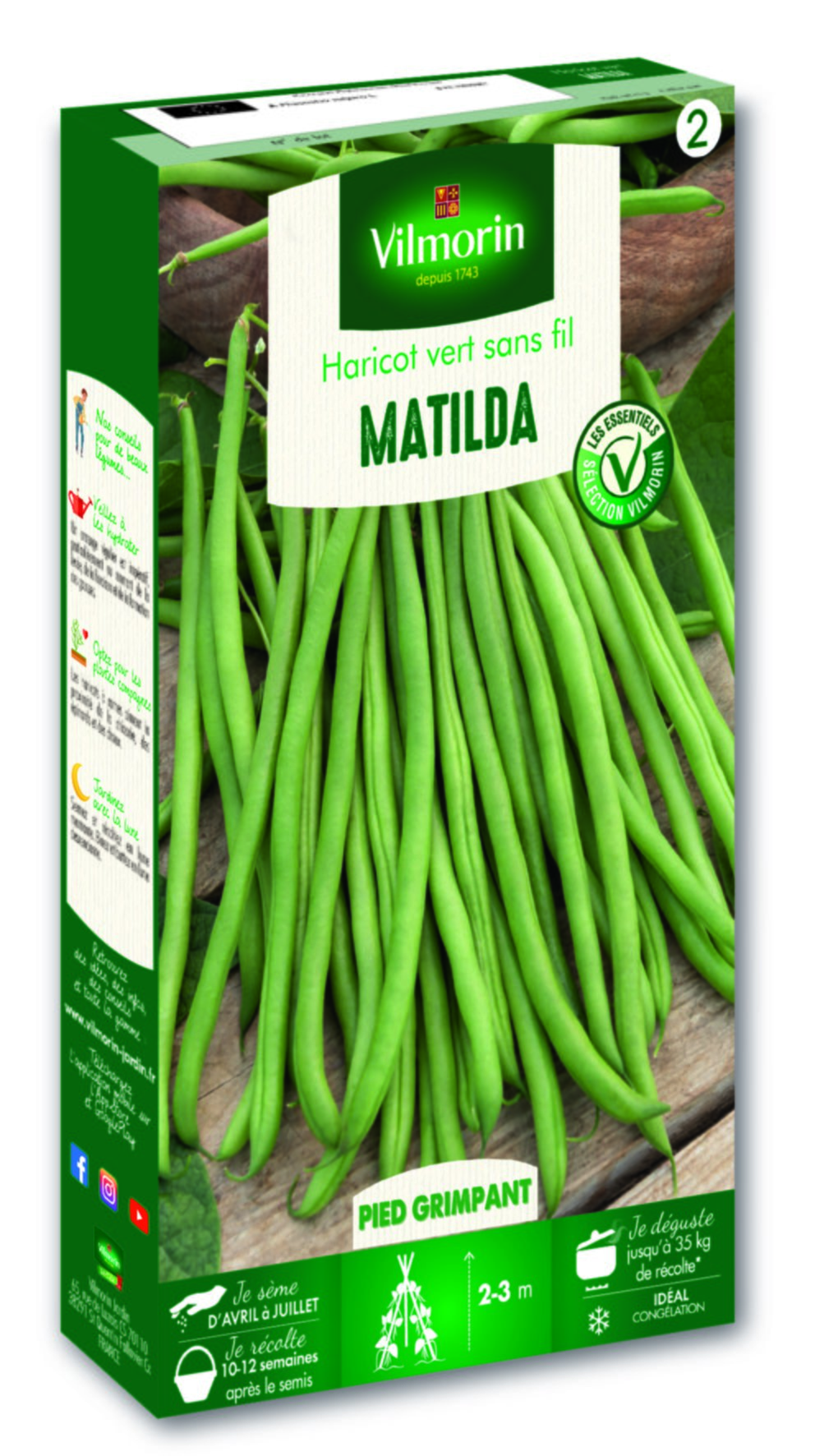 Haricot Matilda - VILMORIN