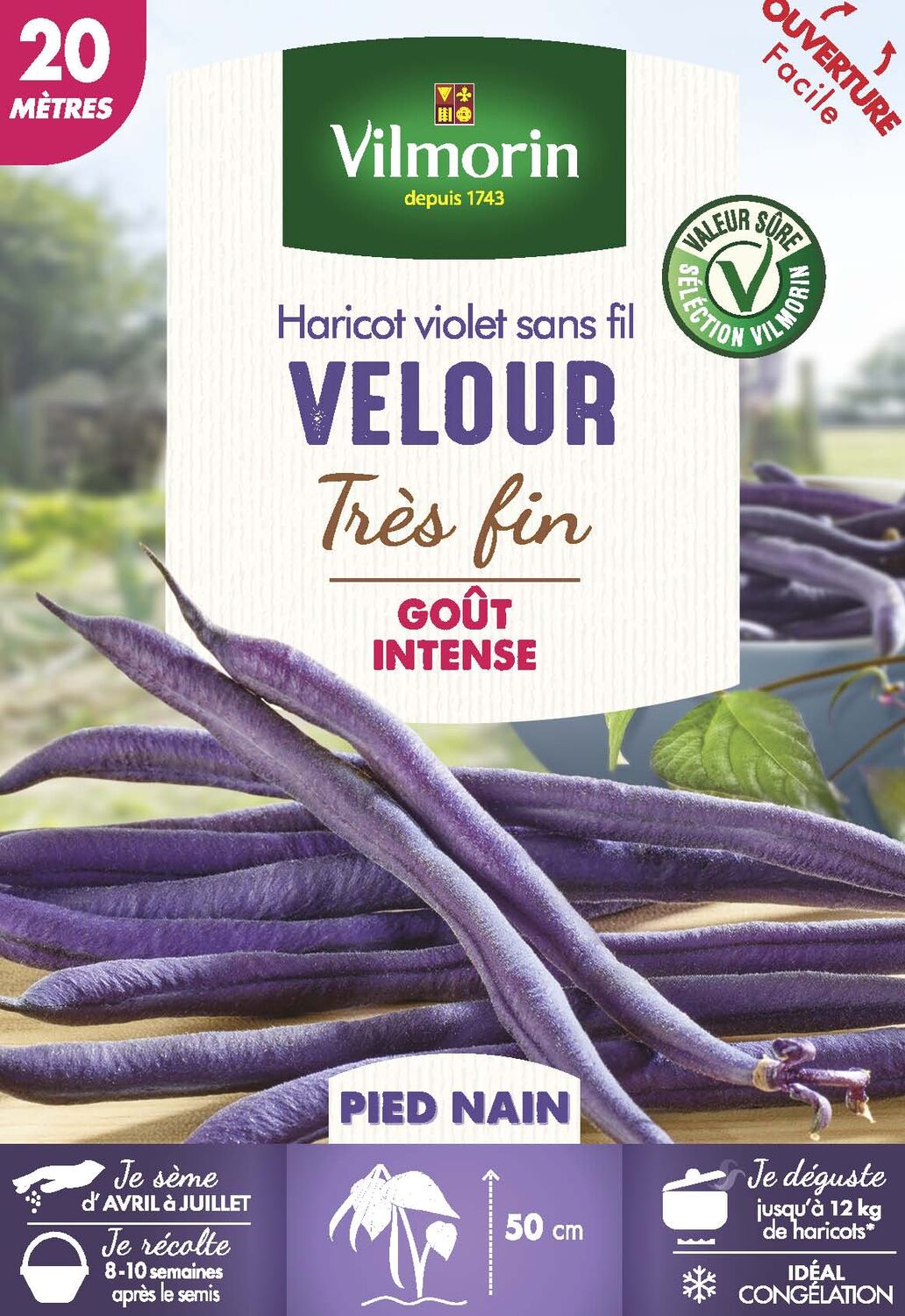 Graines Haricot Nain Violet Velour 20m - VILMORIN