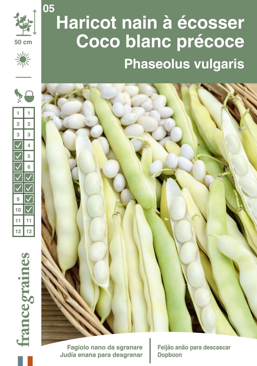 Graines Haricot Nain à Ecosser Coco Blanc Précoce - FRANCE GRAINES