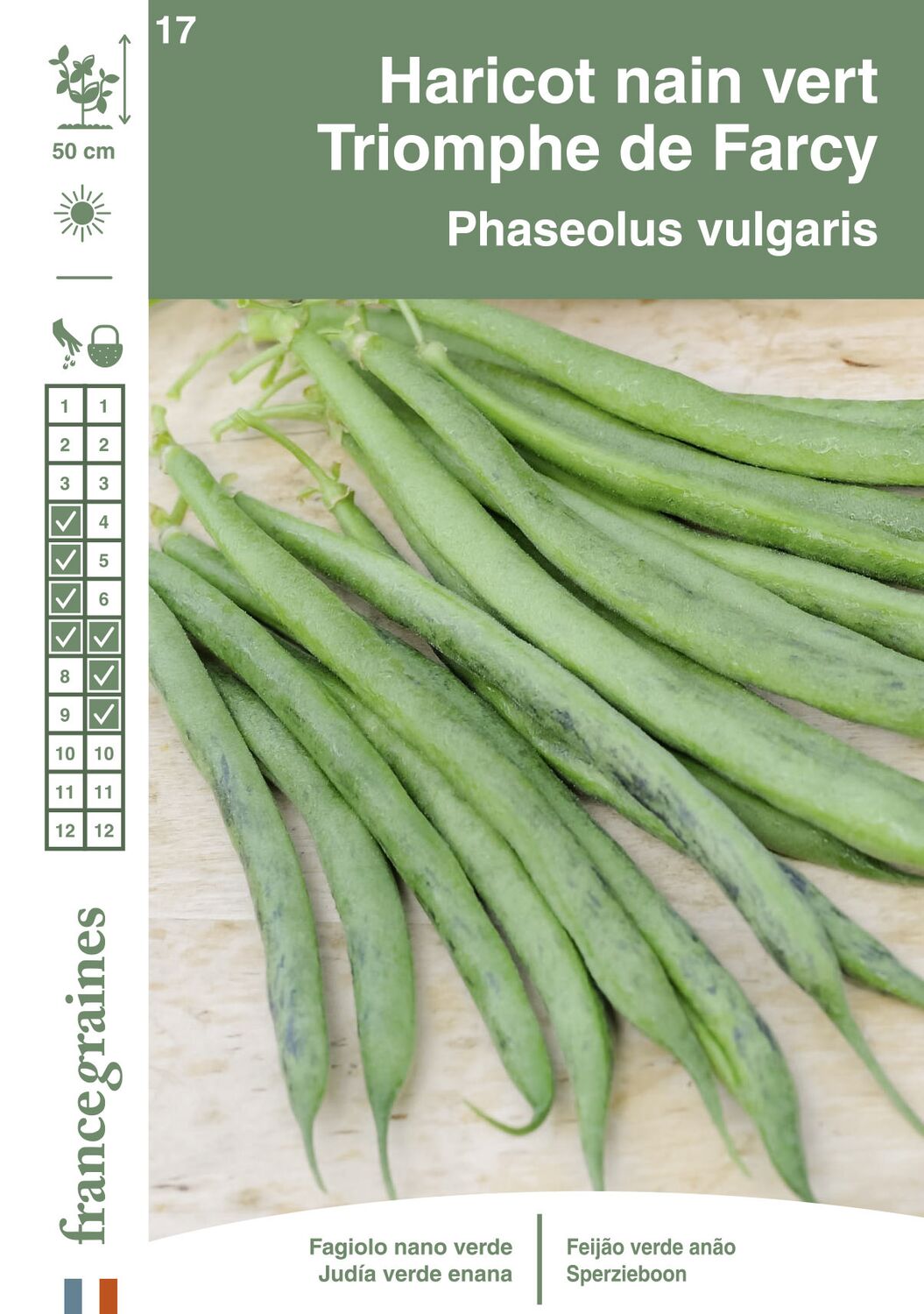 Graines Haricot Nain Vert Triomphe de Farcy - FRANCE GRAINES