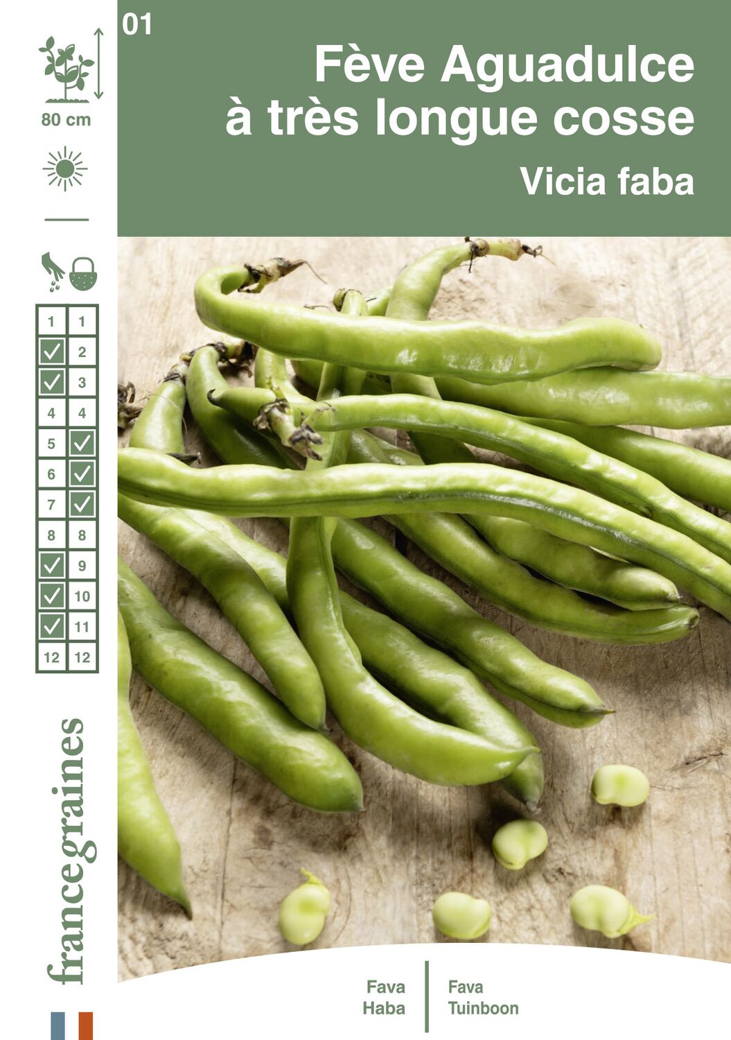 Graines Fève Aguadulce à Très Longue Cosse - FRANCE GRAINES