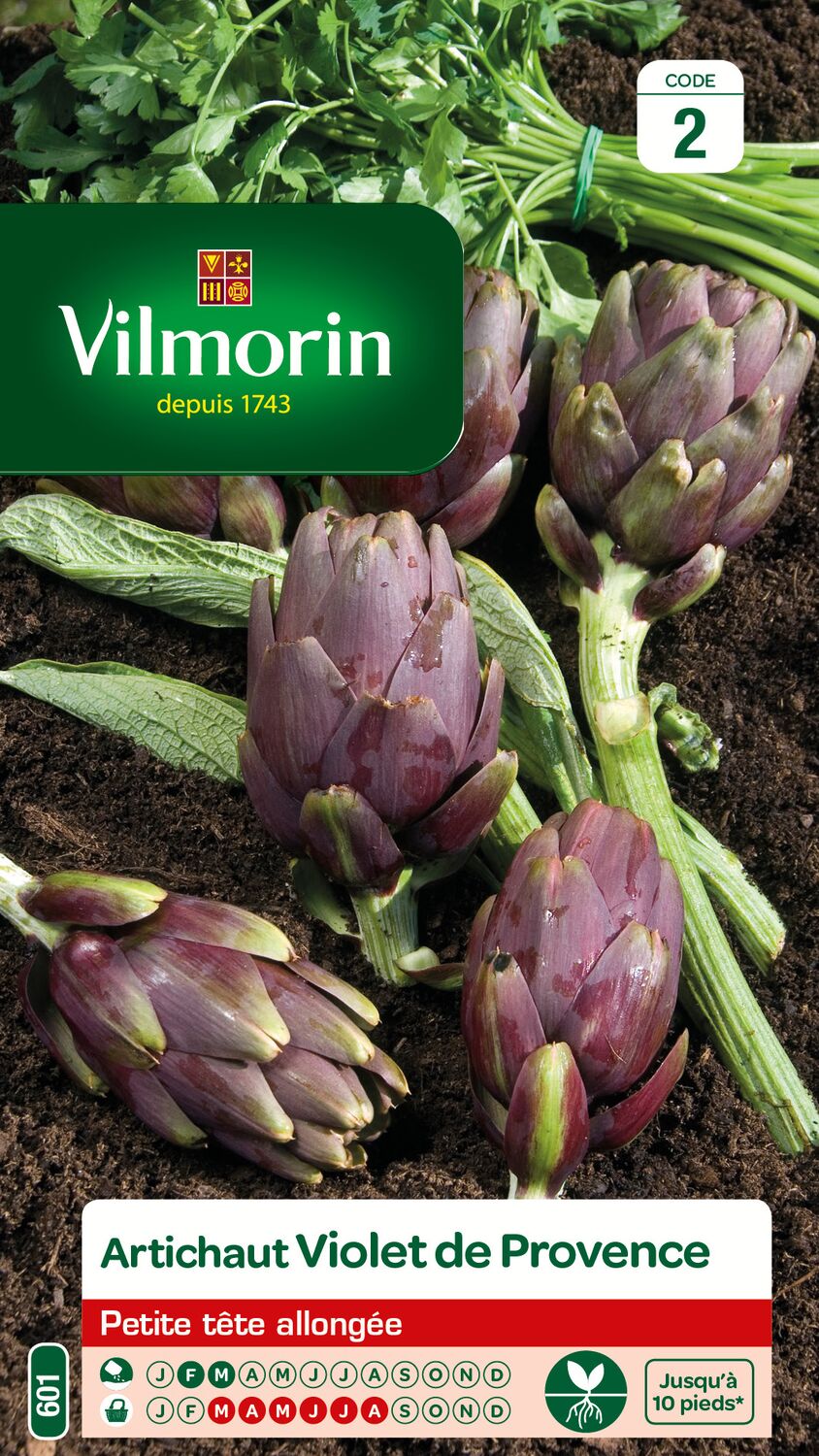 Graines Artichaut Violet de Provence - VILMORIN