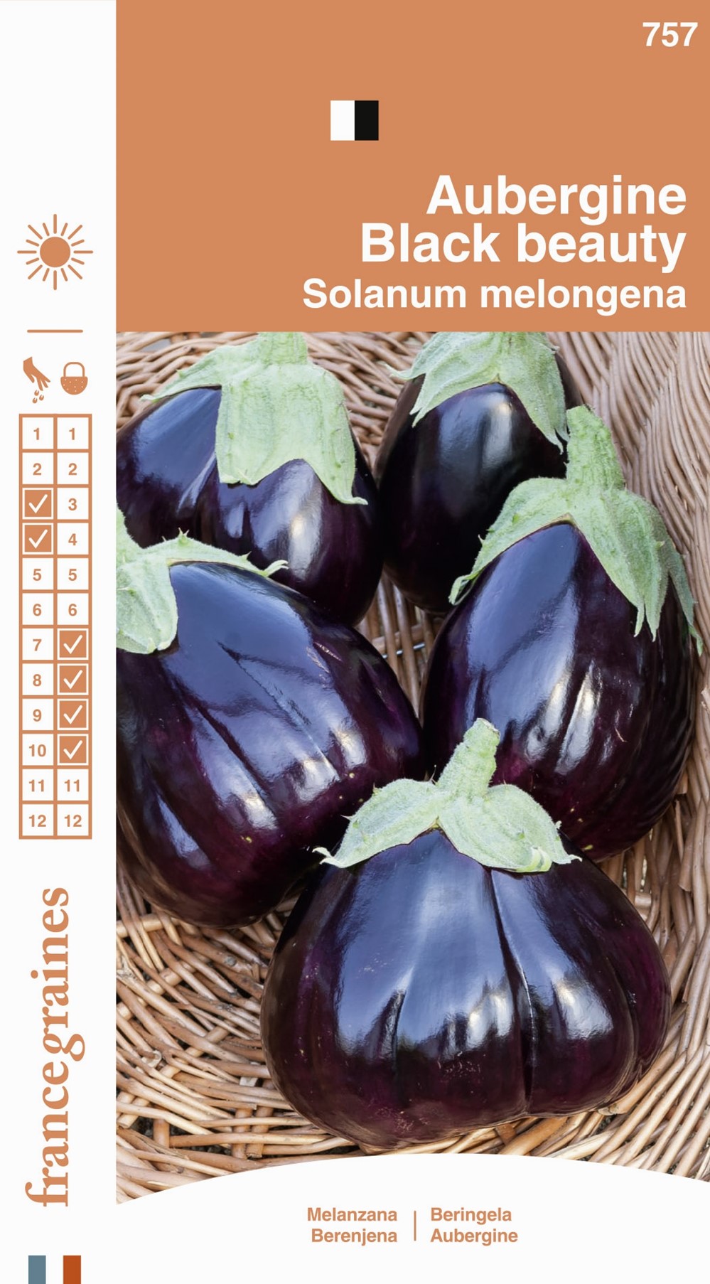 Graines Aubergine Black Beauty - FRANCE GRAINES