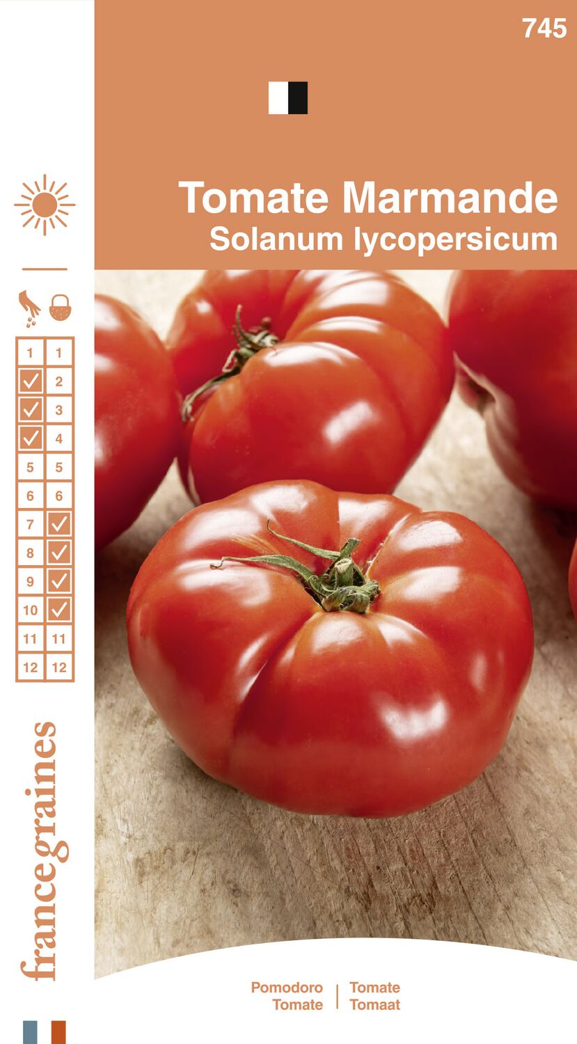 Graines Tomate Marmande - FRANCE GRAINES