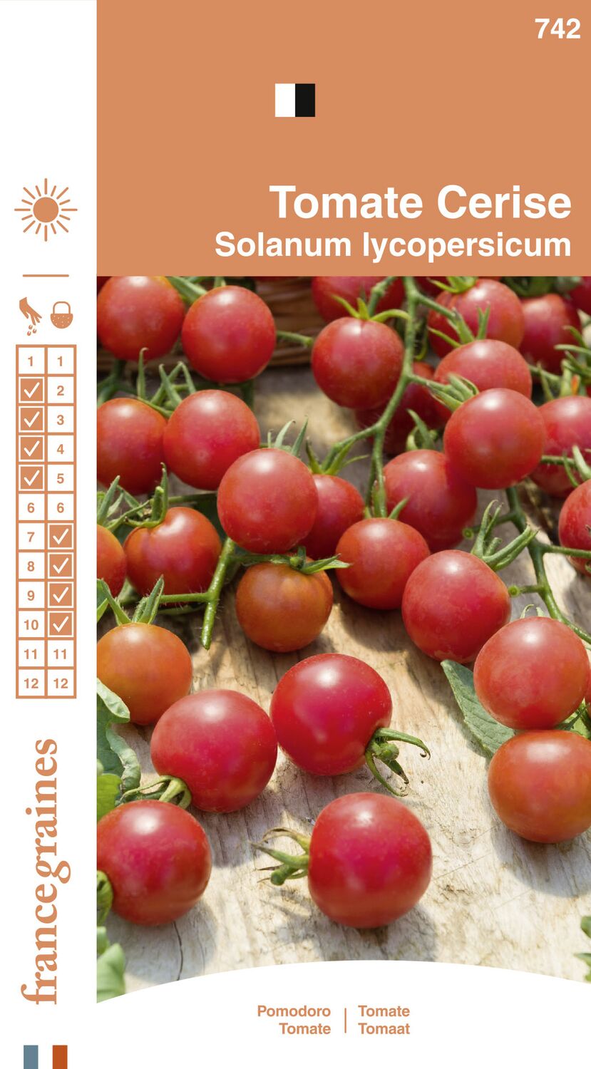 Graines Tomate Cerise - FRANCE GRAINES