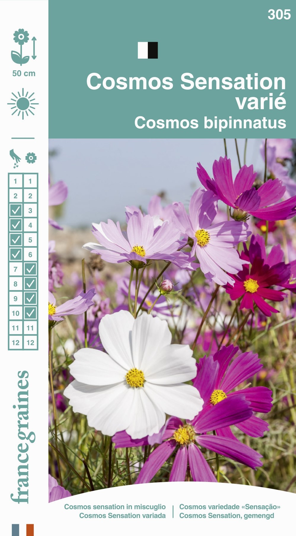 Graines Cosmos Sensation Varié - FRANCE GRAINES