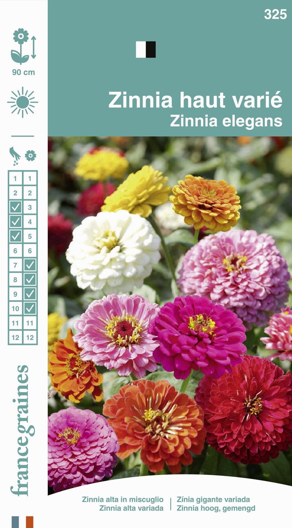 Graines Zinnia Haut Varié - FRANCE GRAINES