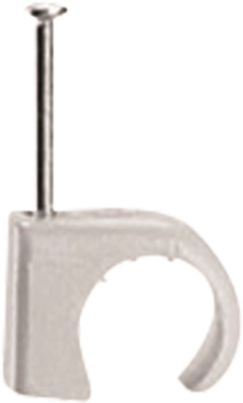 100 cavaliers gris d.7a10
