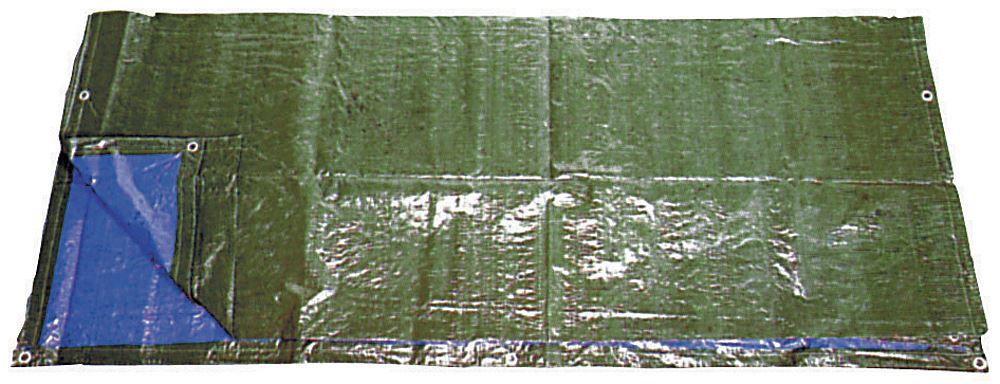 Bâche de protection 3 x 5 m - COGEX