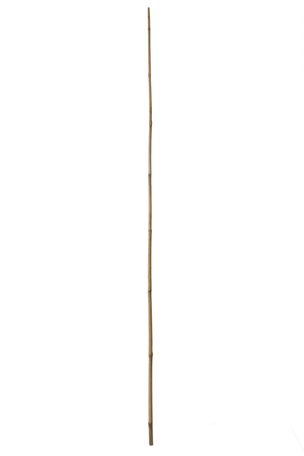 Tuteur bambou 1,8 m - IDEAL GARDEN