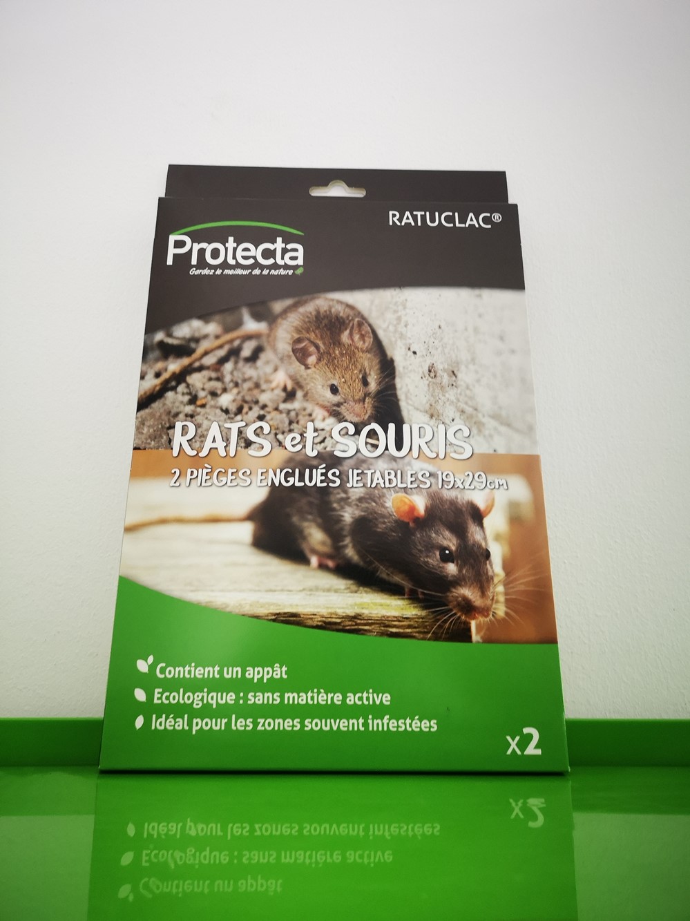 2 pièges rats-souris grands formats + glue attractive aromatisée