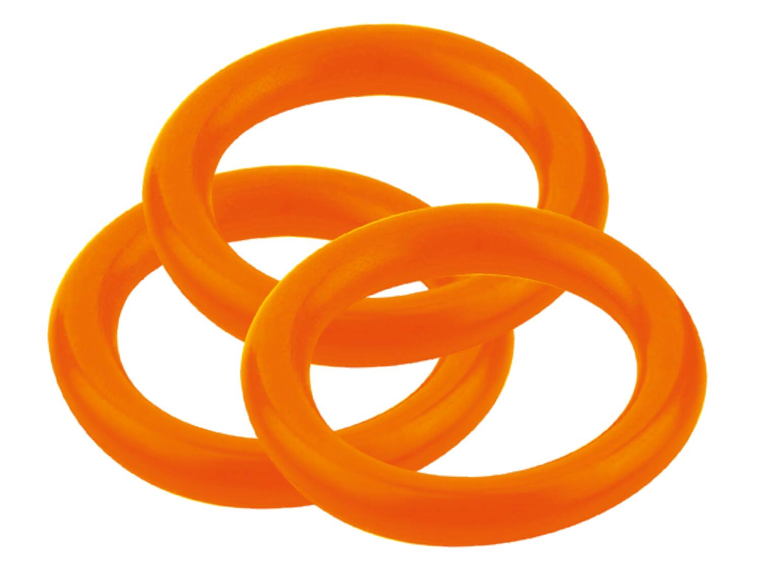 Joints toriques x10 - SPID'O