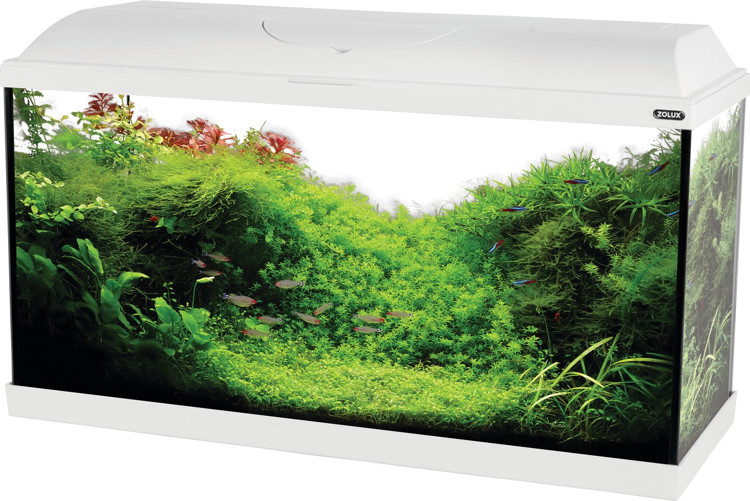 Kit aquarium iseo tout équipé - 84L - noir