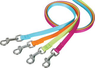 Laisse nylon 60 cm fuchsia