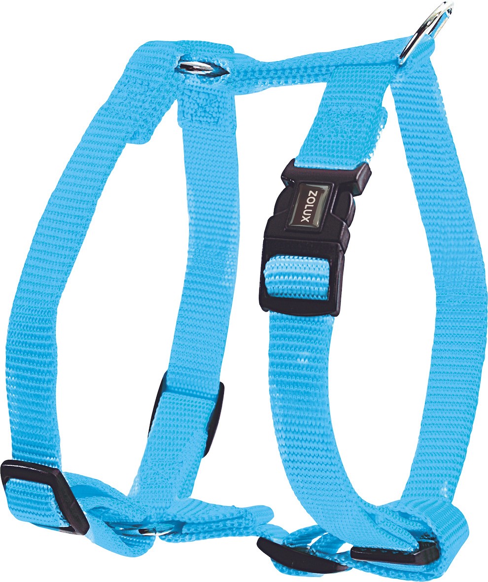 Harnais nylon réglable 25 mm Turquoise - ZOLUX