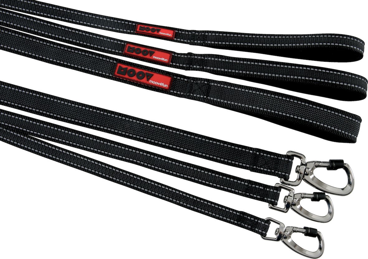 Laisse Moov réflective longueur 1,2 m largeur 25 mm noire - ZOLUX