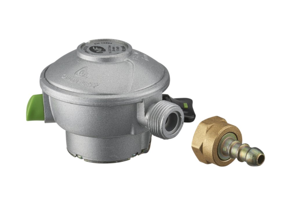Détendeur Quick on butane Ø27 pour bouteille cube Viseo - NOYON THIEBAULT