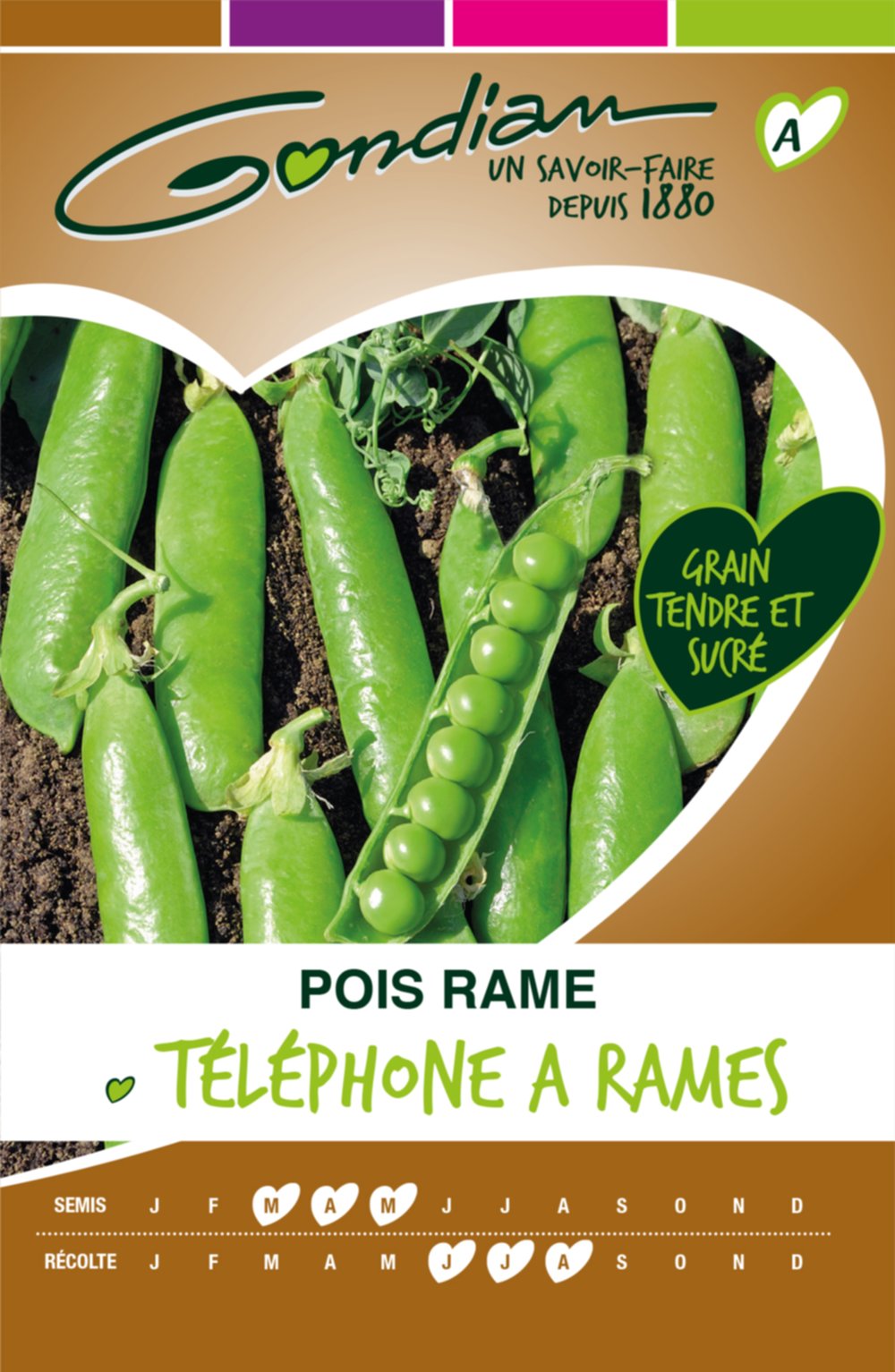 Pois Téléphone à rames - rame à grain rond Gondian