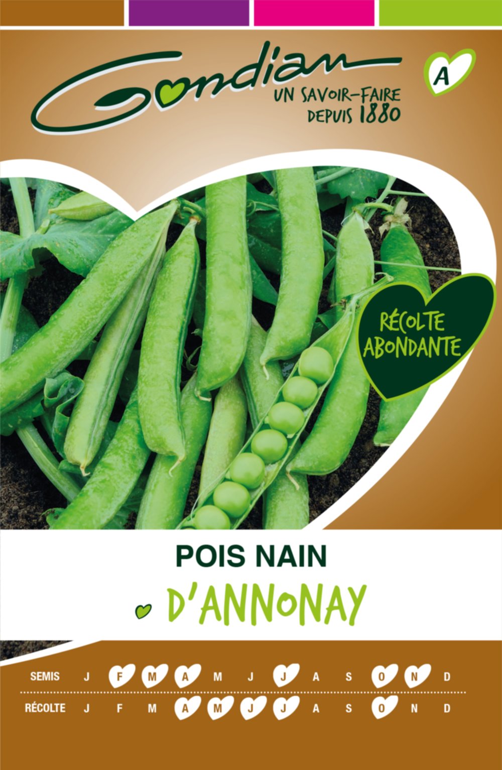 Pois Très hâtif d'Annonay grain rond Gondian