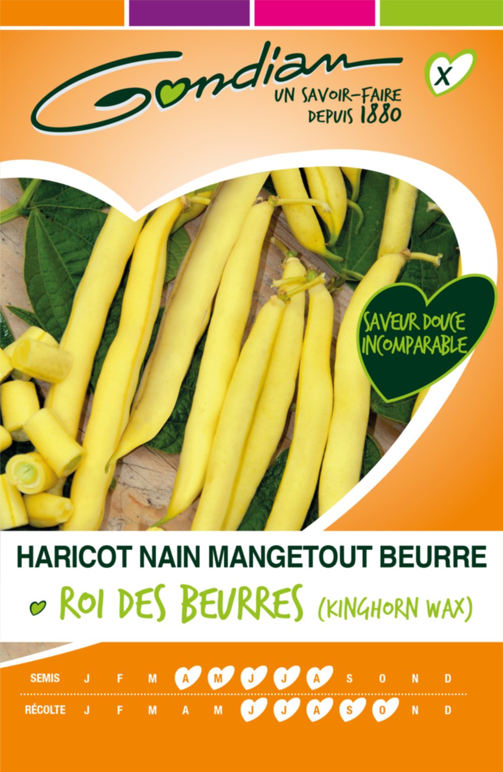 Haricot Kinghorn Wax - nain filet sans fil Gondian