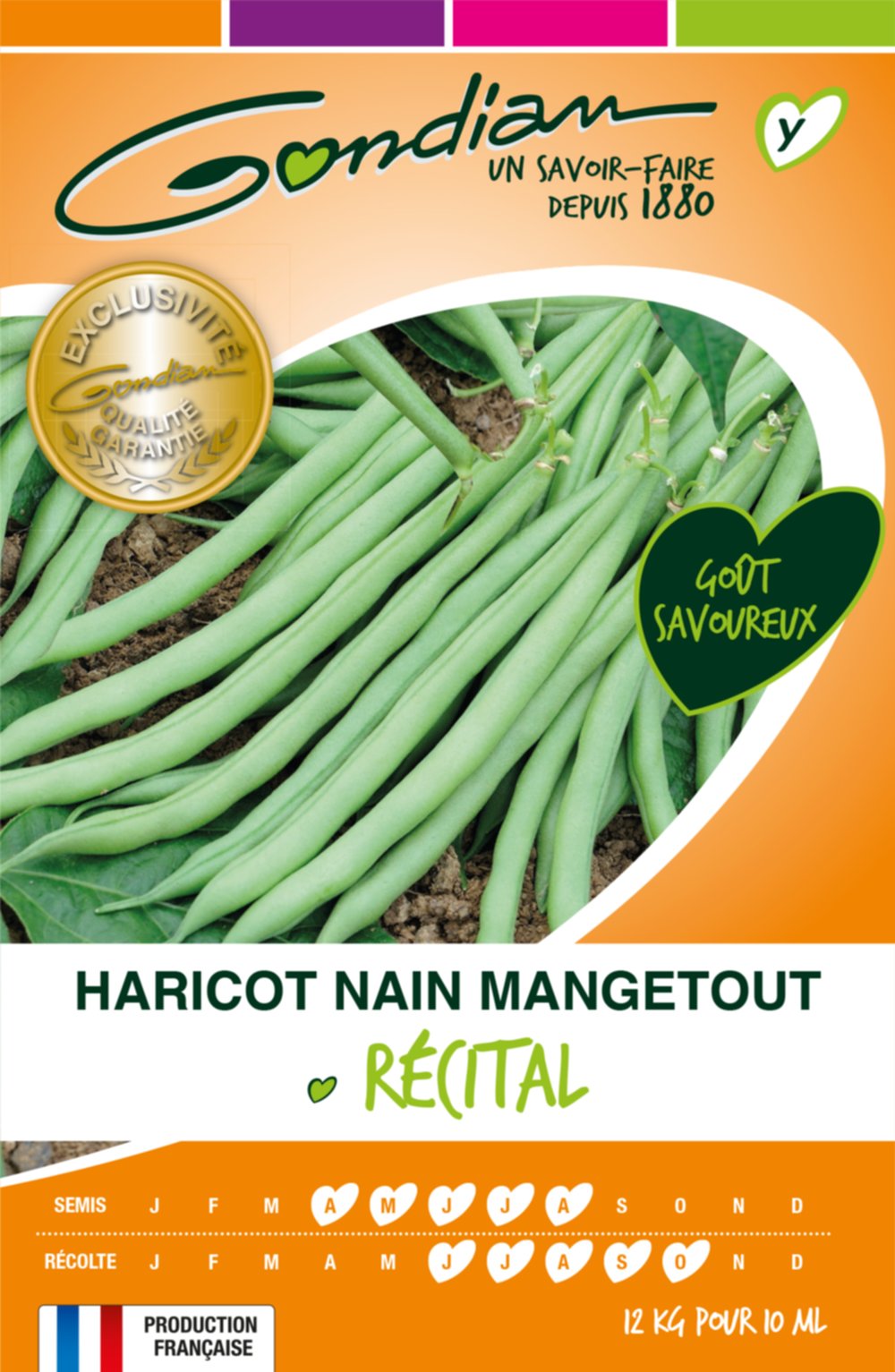 Haricot Récital - nain filet mangetout Gondian
